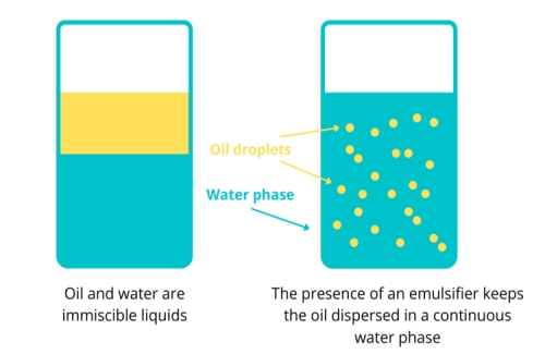 What Are Emulsifiers Exactly